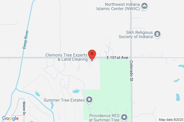 A-1 Clemons Tree Experts & Land Clearing