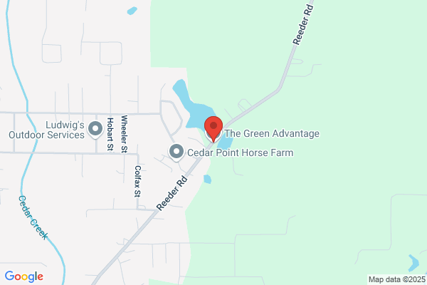 The Green Advantage