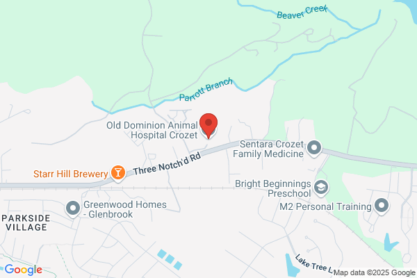 Old Dominion Animal Hospital Crozet