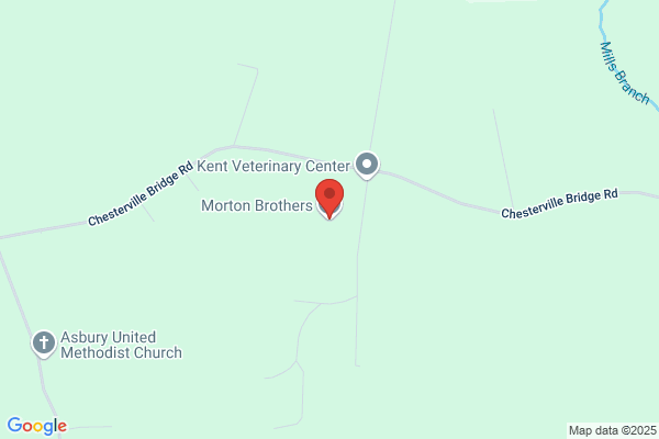 Morton's Appliance Service