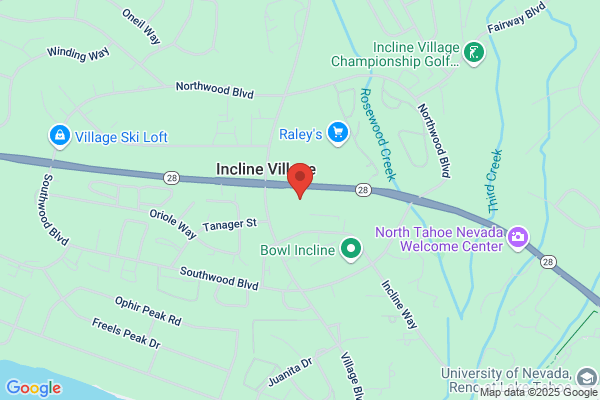 Frontline Systems Inc