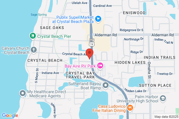 Cat Hospital At Palm Harbor