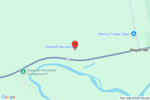 Davis-Hill Co Inc the