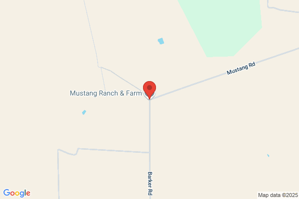 Mustang Ranch