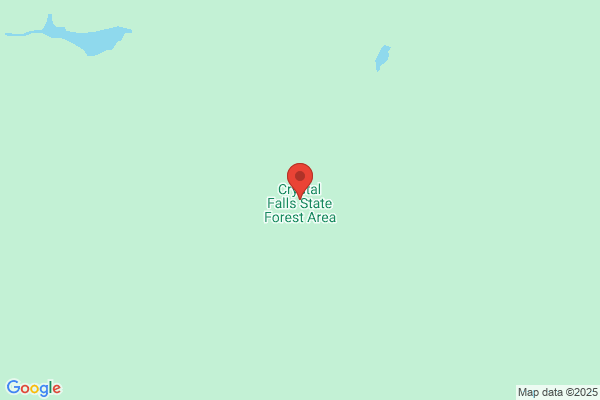 Forestland Group Llc