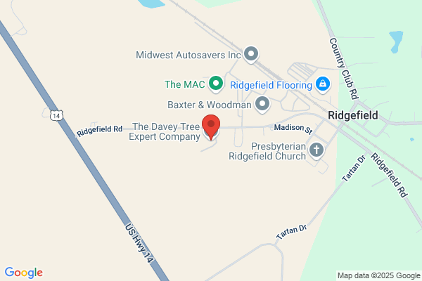 Locust’s tree services