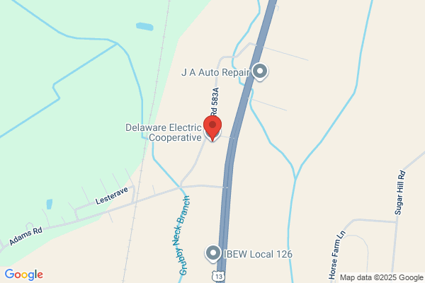 Delaware Electric Co