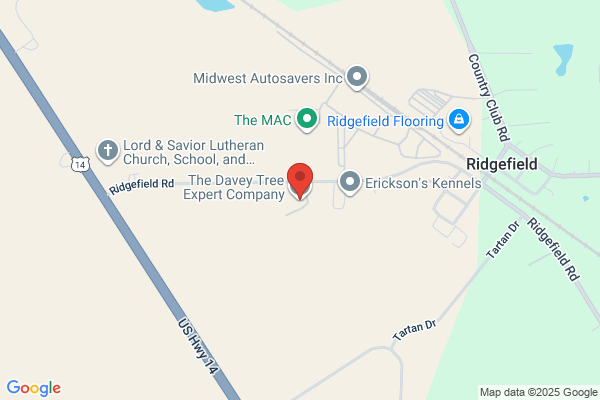 Locust’s tree services