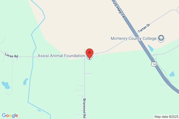 Assisi Animal Foundation