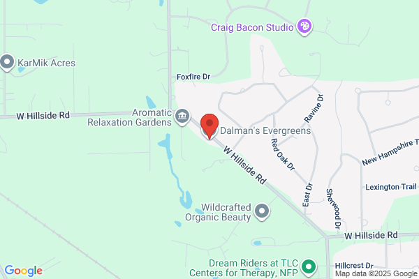 Dalman's Evergreens