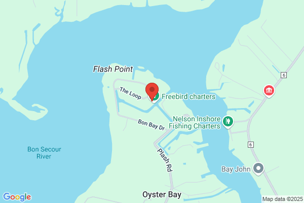 Gulf Coast Charters