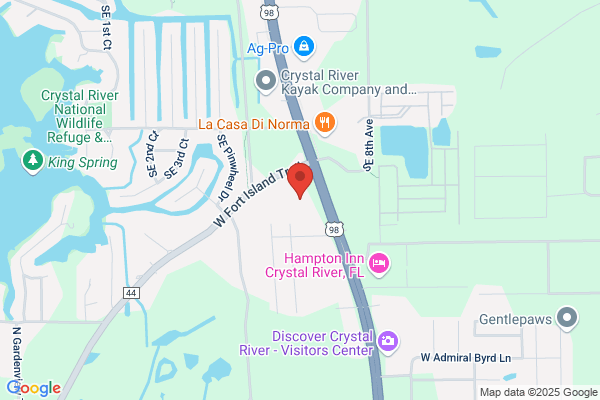 Jenkins Kia of Crystal River