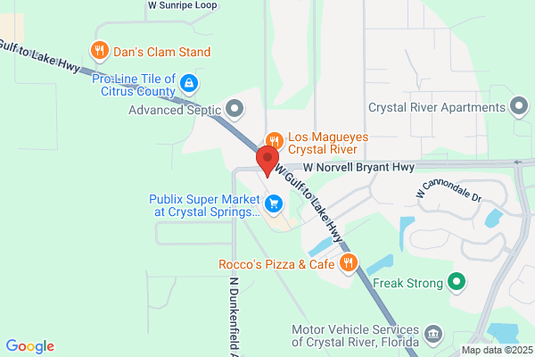 Advance Auto Parts