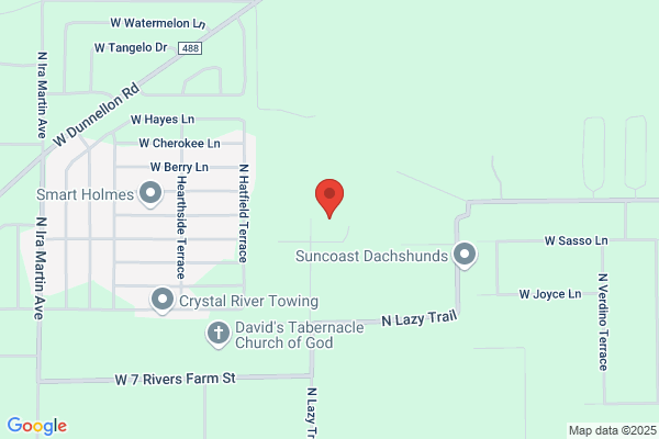 D's Landscaping & Tree Service