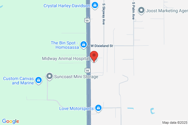 Midway Animal Hospital