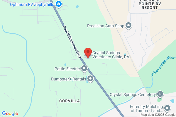 Crystal Springs Veterinary Clinic P.A.
