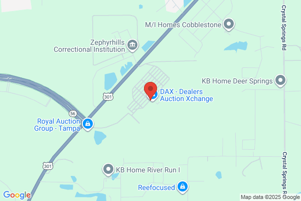 Zephyrhills Festival & Auction