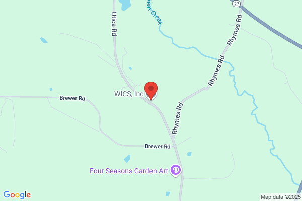 Wics Inc