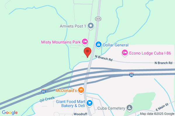 Econo Automotive and Auto Body Inc