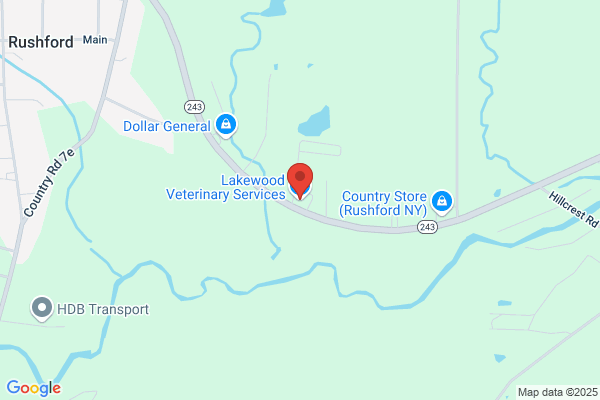 Lakewood Veterinary Service