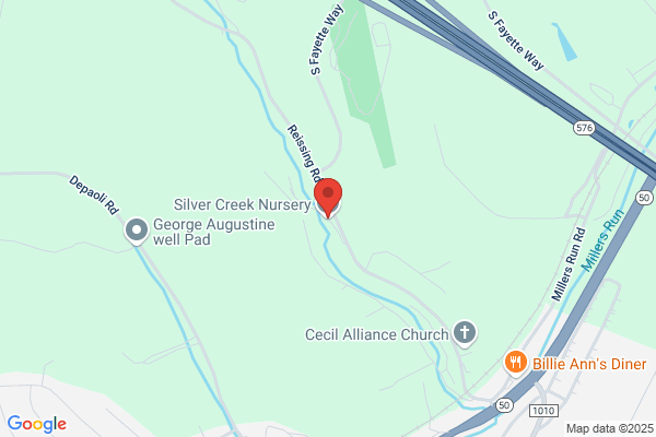 Silver Creek Nursery