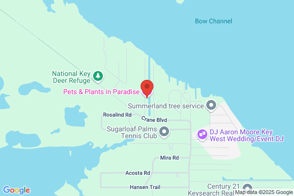 Pet-A-Pet Pet Sitting Services