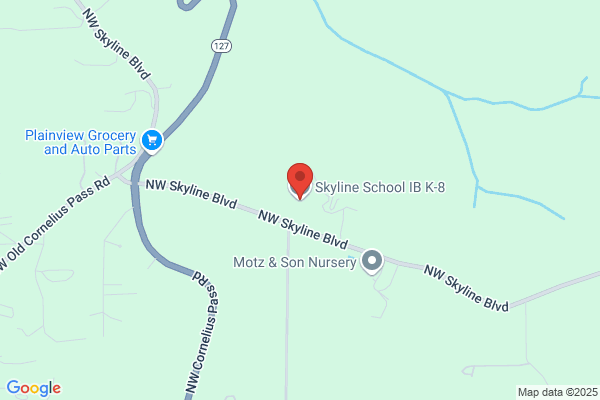 Skyline School Information