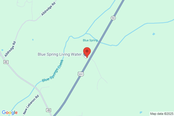 Blue Spring Partners