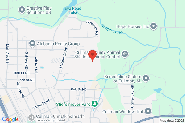 Primary School City of Cullman