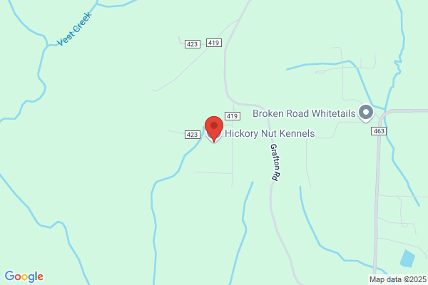 Hickory Nut Kennels