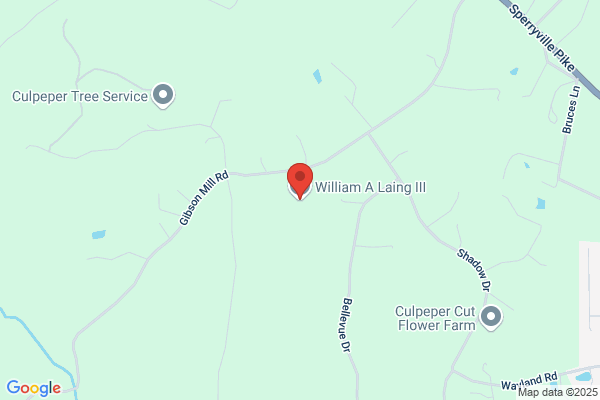 William A Laing III Inc