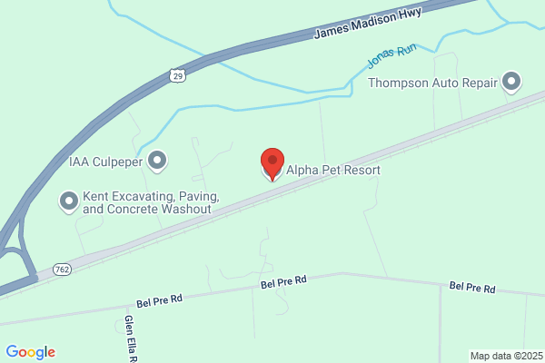 Alpha Pet Resort