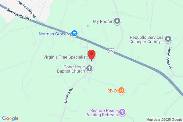 Virginia Tree Specialist