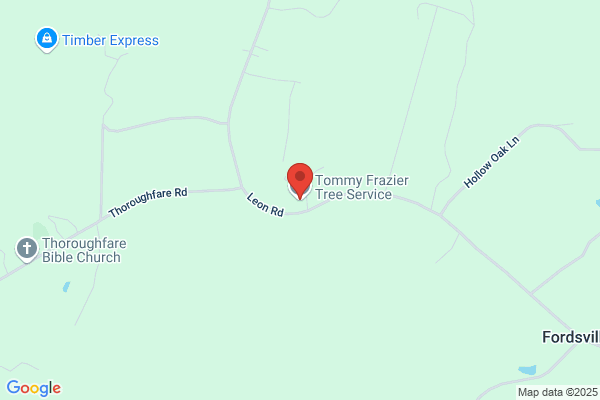 Tommy Frazier Tree Service