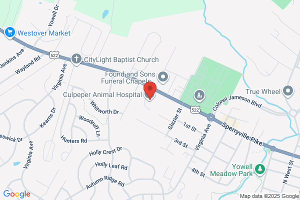 Culpeper Animal Hospital - Susan Jacobson DVM