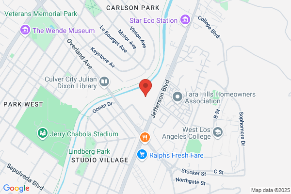 Camelot Health Services