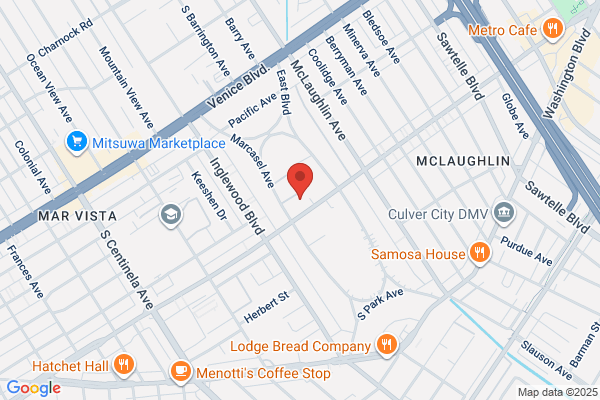 Mar Vista Security, Inc.