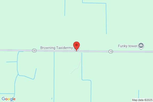 Browning Taxidermy