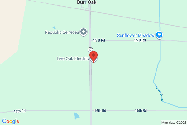 Live Oak Electric