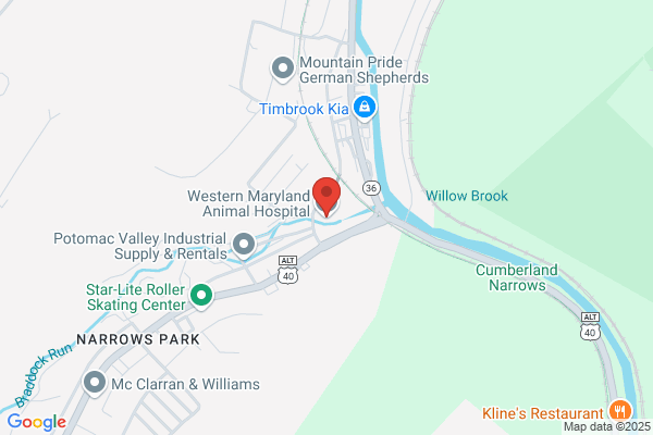 Western Maryland Animal Hospital
