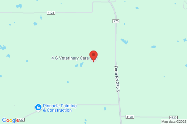 4 G Veterinary Care