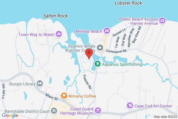Cape Cod Outfitters Fishing