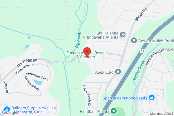 Furry Academy the