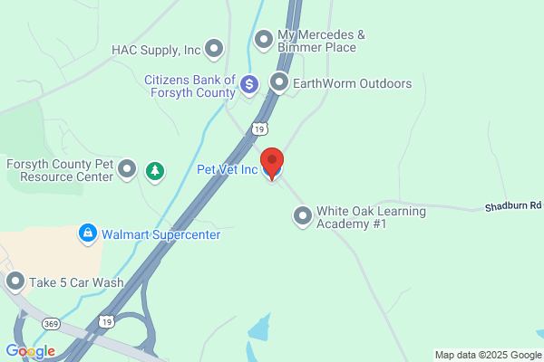 Land Tracy W DVM