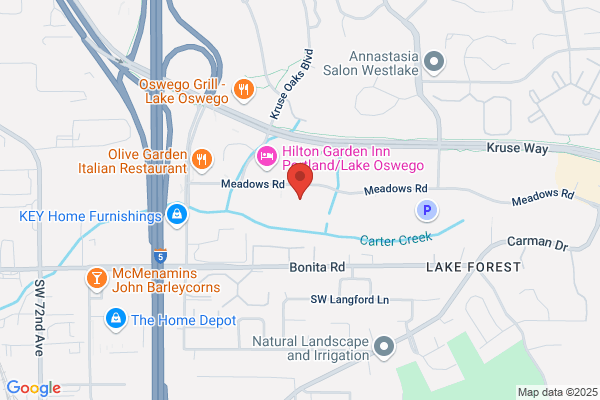 Wellstone Securities Llc