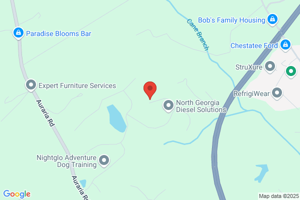 Home Dog Training of North Georgia