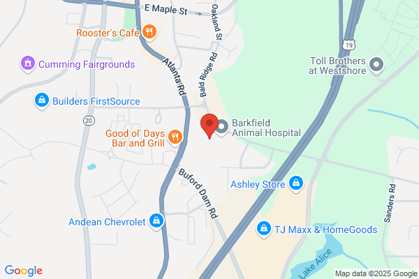 Forsyth Foot & Ankle Associates