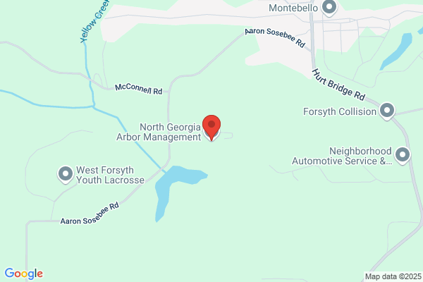 North Georgia Arbor Management LLC