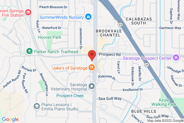 Saratoga Luxury Homes