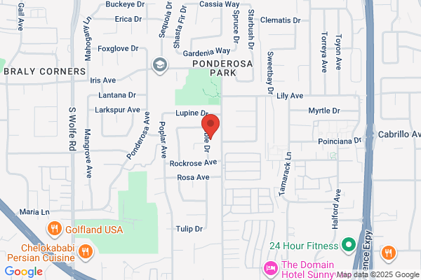 Joyland Bilingual Daycare